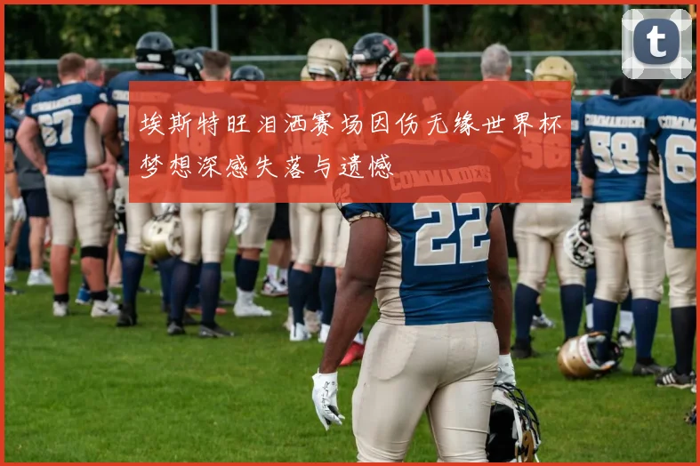 埃斯特旺泪洒赛场因伤无缘世界杯梦想深感失落与遗憾