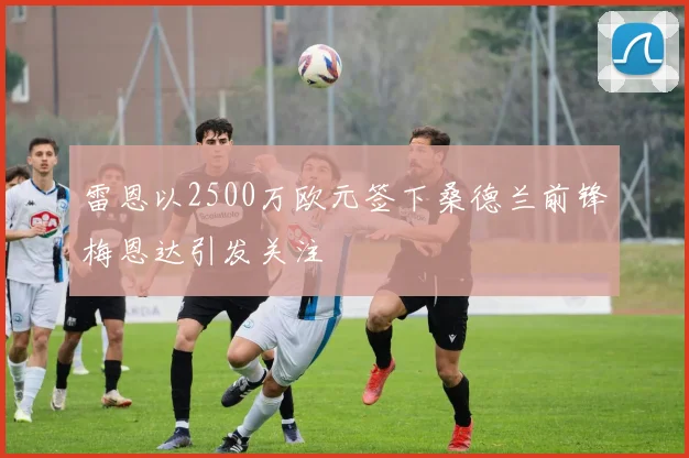 雷恩以2500万欧元签下桑德兰前锋梅恩达引发关注