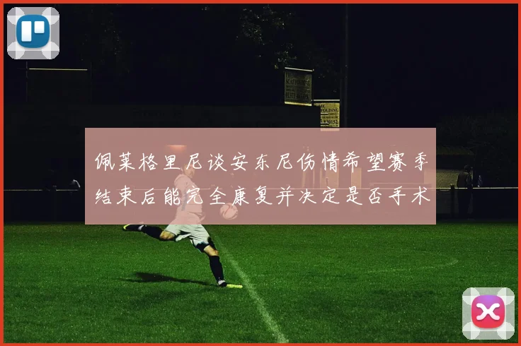 佩莱格里尼谈安东尼伤情希望赛季结束后能完全康复并决定是否手术