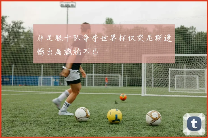 非足联十队争夺世界杯仅突尼斯遗憾出局尴尬不已